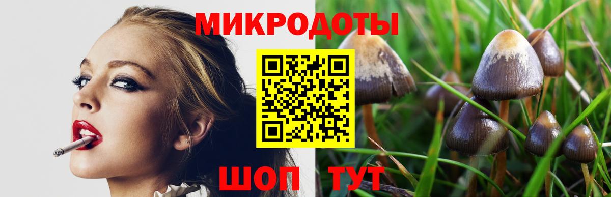 Псилоцибиновые грибы Magic Shrooms  Вход с VPN  Воркута 